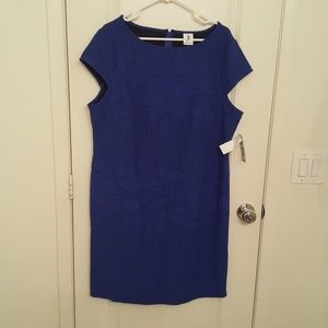 Julia Jordan Cobalt Blue Shift Dress NWT